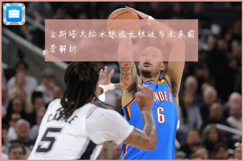 古斯塔夫松冰球成长轨迹与未来前景解析