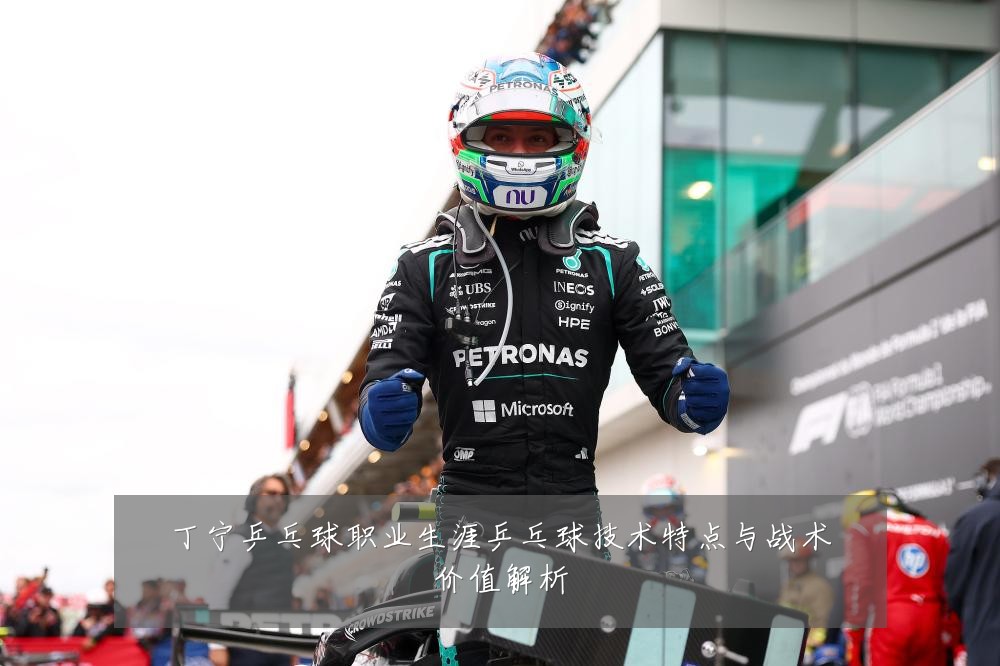 丁宁乒乓球职业生涯乒乓球技术特点与战术价值解析