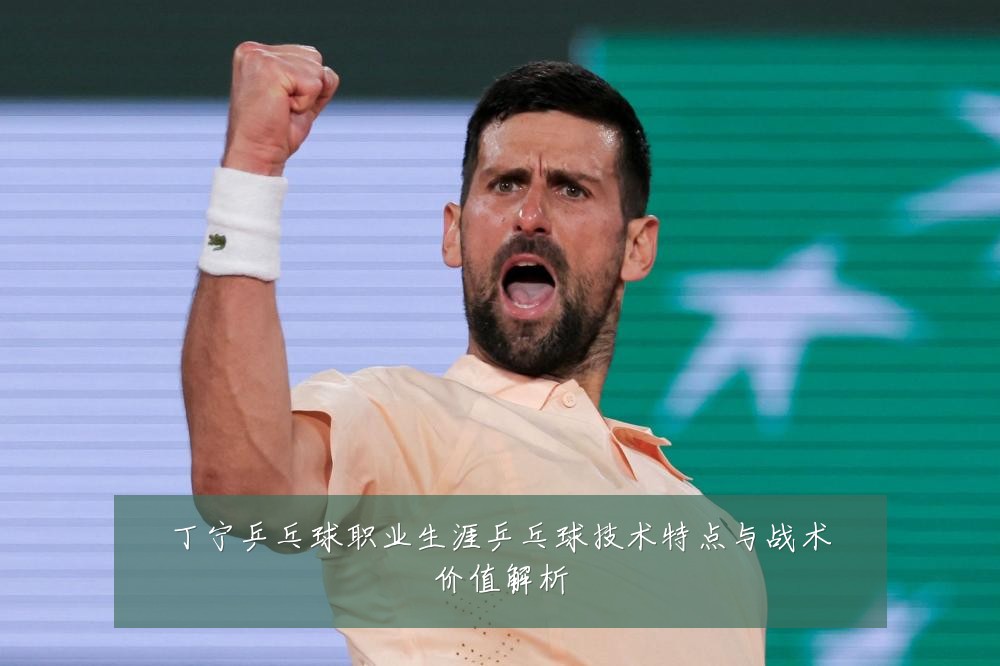 丁宁乒乓球职业生涯乒乓球技术特点与战术价值解析