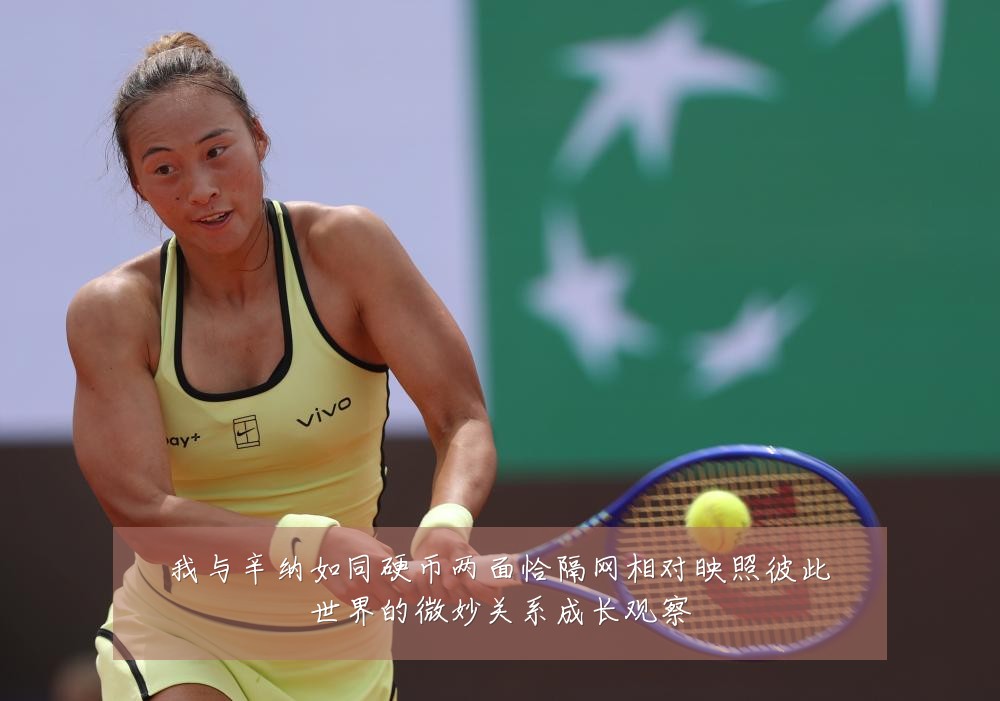 我与辛纳如同硬币两面恰隔网相对映照彼此世界的微妙关系成长观察